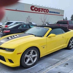 Meet your Posher, Herman